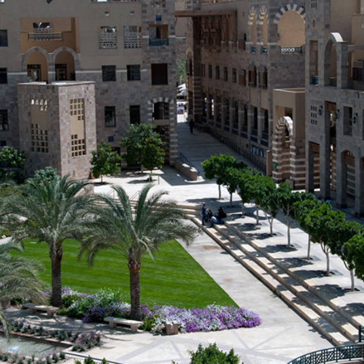 American University in Cairo, Egypt