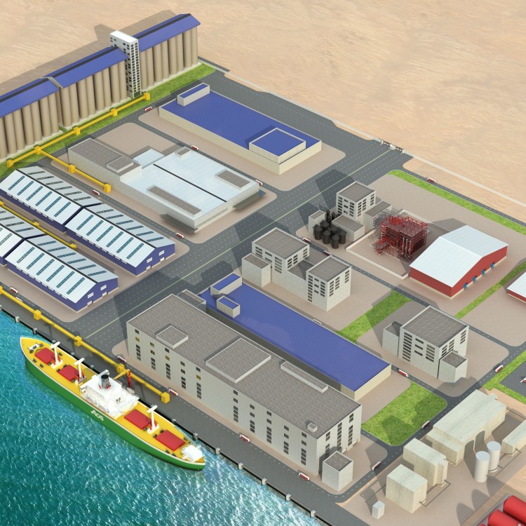 Grain Hub & Industrial Complex, Egypt